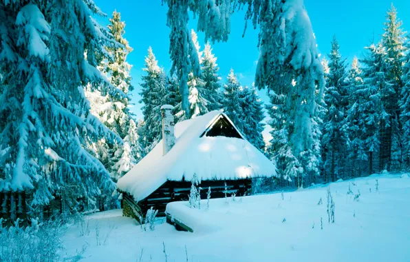 Winter, forest, snow, Poland, hut