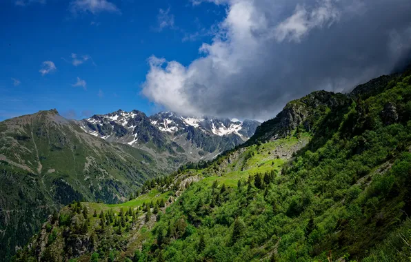 Picture forest, mountains, nature, valley