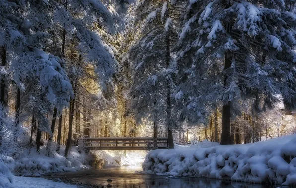 Winter, snow, trees, landscape, nature, Park, ice, river