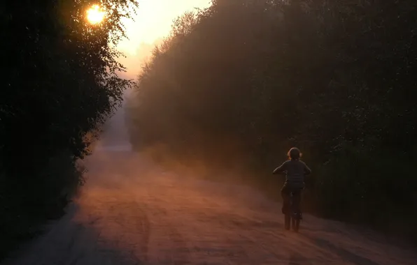 Picture road, forest, bike, dawn, silence, Morning, girl