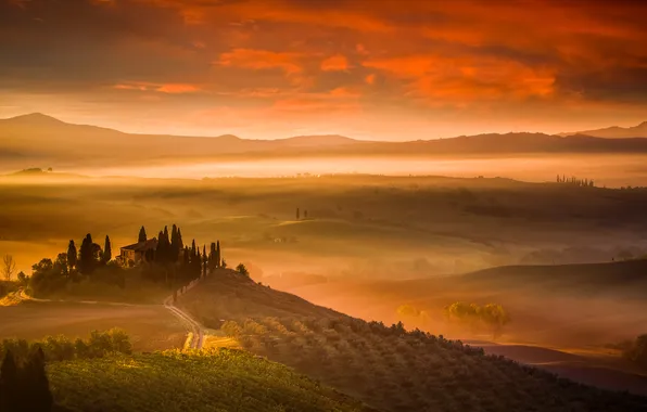 Trees, fog, house, hills, field, Italy, Tuscany