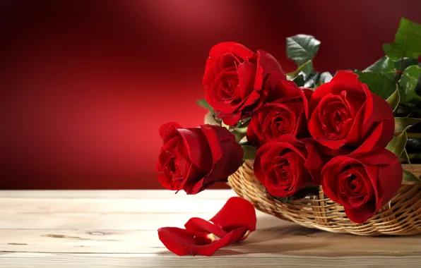 Picture love, flowers, roses, valentine's day