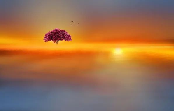 Lake, tree, paint, the world, fabulous, Josep Sumalla
