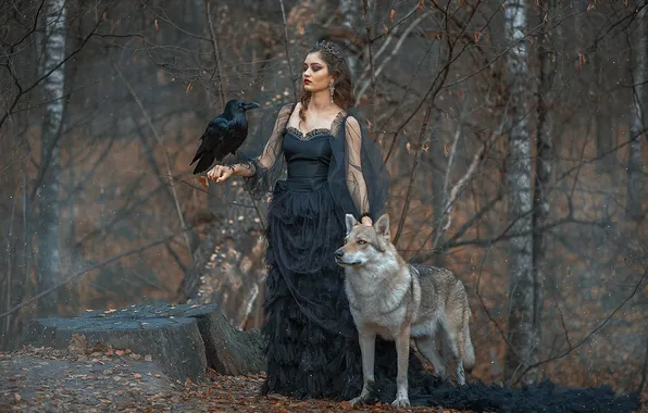 Forest, girl, pose, bird, wolf, fantasy, black dress, Raven