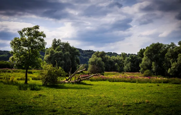 Picture Netherlands, Holland, Eijsden, Eijsden