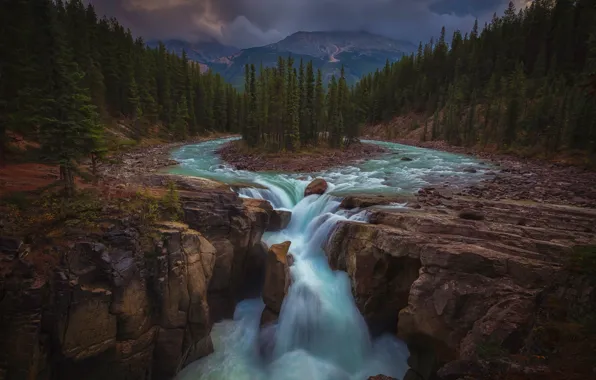 Forest, trees, mountains, river, waterfall, Canada, Albert, Alberta