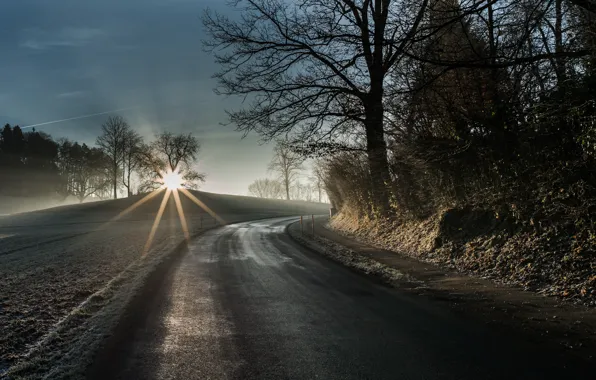 Picture road, fog, morning