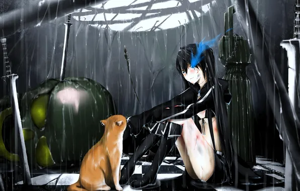 Cat, cat, girl, weapons, rain, skull, sword, black rock shooter