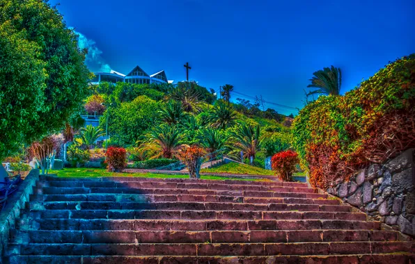 Park, treatment, ladder, Spain, Las Palmas de Gran Canaria