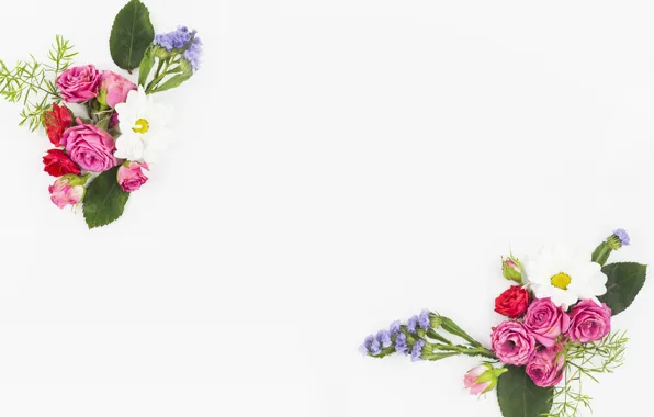 White, flowers, background, flower, pink, bouquet, roses, bouquets
