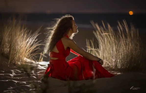 LOOK, GRASS, HORIZON, SAND, DRESS, RED, SUNSET, SHORE