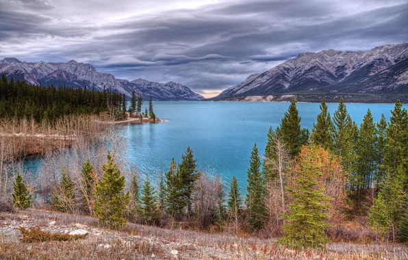 Picture trees, landscape, mountains, clouds, nature, lake, Canada, Abraham Lake