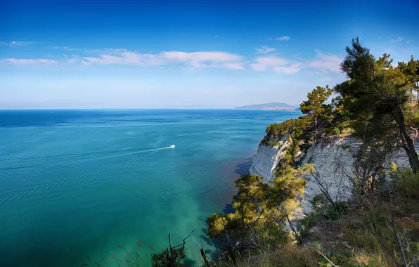 Picture sea, trees, rocks, shore, ship, yacht