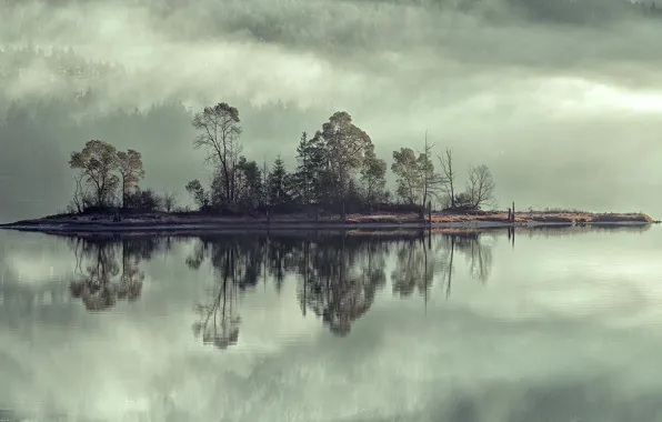 Picture the sky, trees, fog, lake, river, island