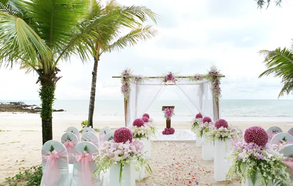 Picture sea, flowers, nature, tropics, coast, gazebo, vases