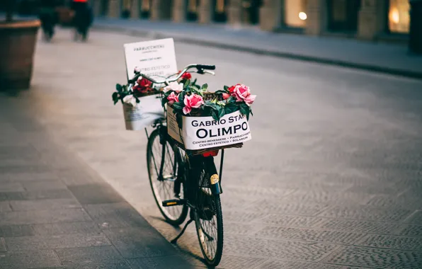 Flowers, bike, roses