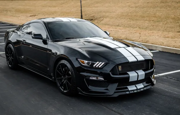 Shelby, black, 350