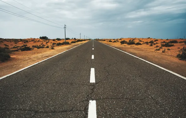 Picture Road, Desert, Asphalt, The bushes, Desert, Asphalt, Bushes, by Aleksandar Pasaric