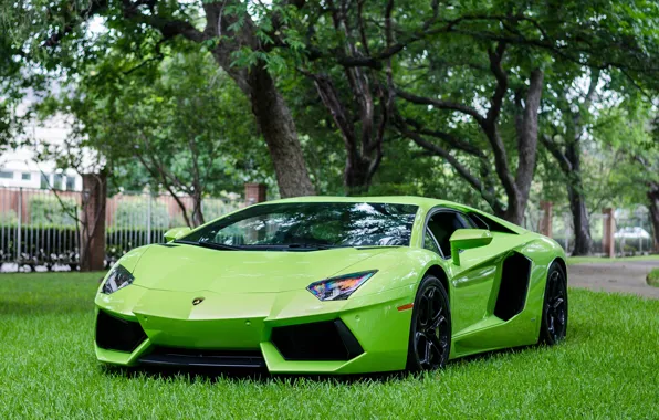 Picture Lamborghini, Green, LP700-4, Aventador