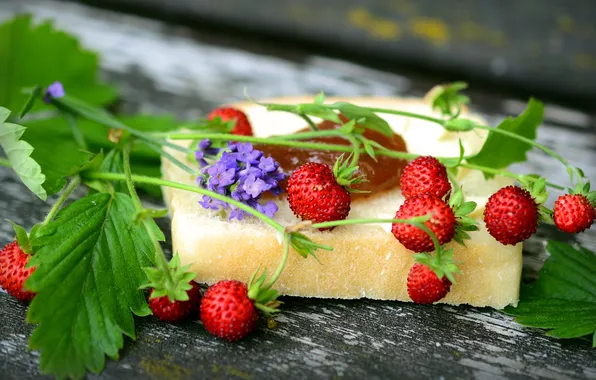 Summer, leaves, flowers, nature, berries, Board, strawberries, bread