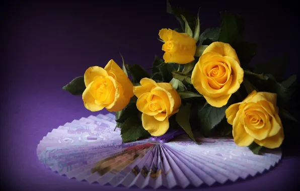 Roses, fan, yellow, purple background
