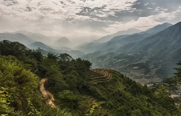 Picture forest, mountains, fog, valley, Vietnam