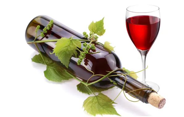 Leaves, red, wine, glass, bottle, vine