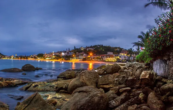 Picture sea, trees, sunset, lights, stones, palm trees, coast, home