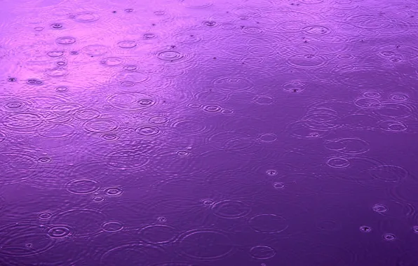 Picture water, drops, circles, color, Rain