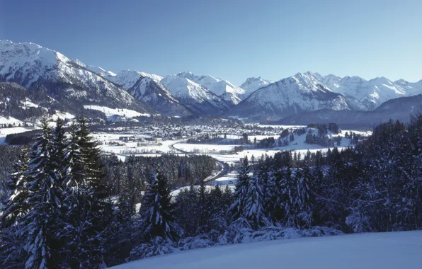 Winter, the sky, snow, trees, ate