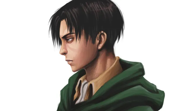 Art, guy, attack of the titans, Shingeki no Kyojin, rivalle, corporal Levi