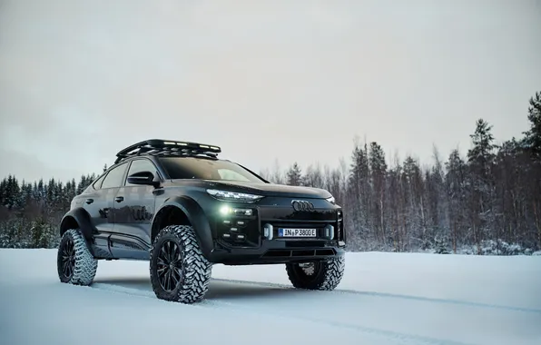 Concept, SUV, e-tron, offroad, SUV, 2025, Audi Q6 e-tron offroad concept, Audi Q6