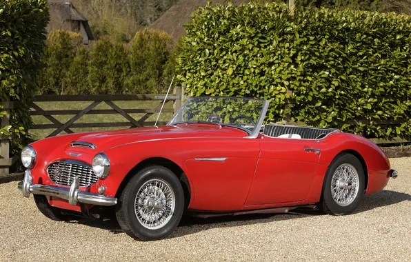 Auto, red, convertible, classic, 1956, Austin Healey, 100-6