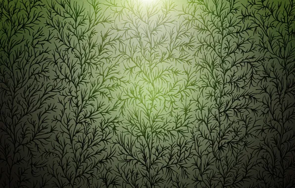 Branches, background, plants