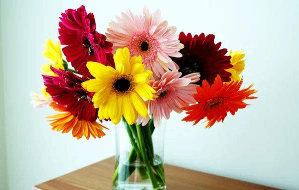 Picture bouquet, vase, gerbera