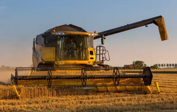 Picture field, the harvest, harvester