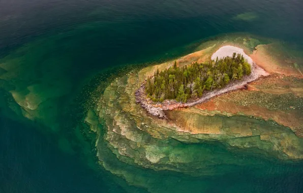 Trees, island, Canada, Ontario, Lake Superior Provincial Park