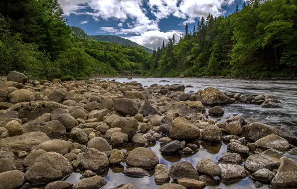 Picture forest, the sky, mountains, river, stones