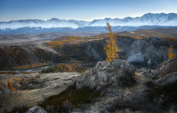 Autumn, forest, mountains, stones, rocks, hills, tops, tree