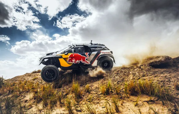 Picture The sky, Sport, Speed, Race, Peugeot, Red Bull, Side, Rally