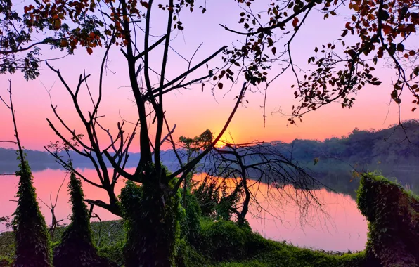 Picture Sun, Water, Sunrise, Dawn, Morning, Lake, Trees, Reflection