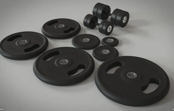 Drives, Fitness, Pancakes, Bodybuilding, Bodybuilding, Damn, Weight, Shell
