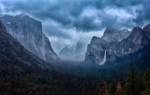 Forest, mountains, Yosemite National Park