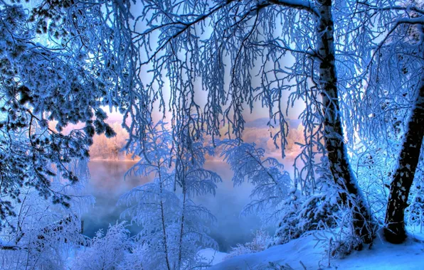 Frost, forest, snow, lake, tree, dawn, Winter, tale