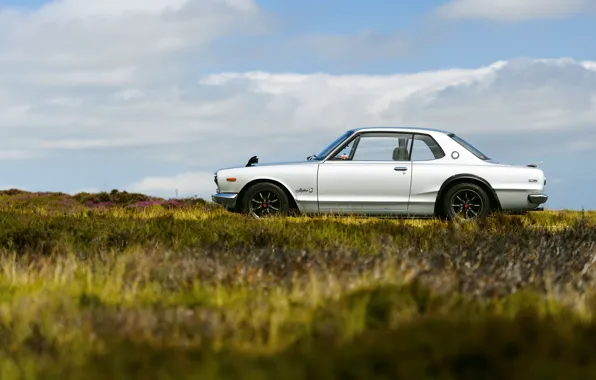 Auto, Machine, Grey, Nissan, Nissan, Car, 2000, Skyline