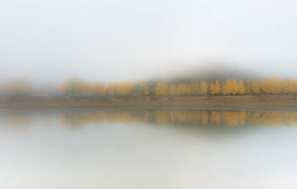 Autumn, fog, lake