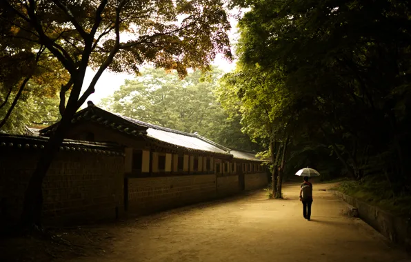 Girl, wall, umbrella, solace, Seoul, the Palace of prospering virtue, changdeok Palace, changdeokgung