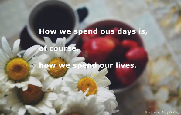 Chamomile, strawberry, Ukraine, poems