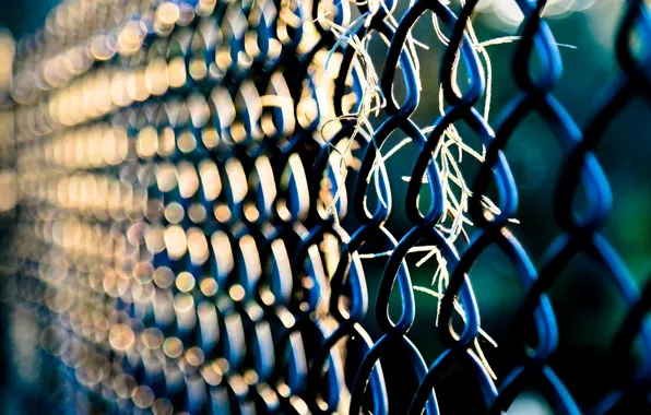 Picture macro, background, mesh, widescreen, Wallpaper, the fence, the fence, wallpaper