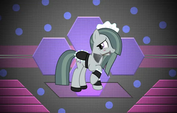 Pony, the maid, My Little Pony